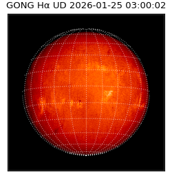 gong - 2026-01-25T03:00:02