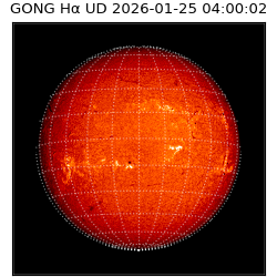 gong - 2026-01-25T04:00:02