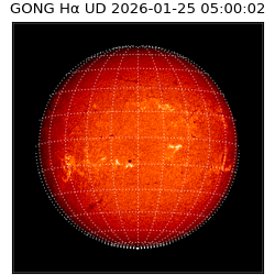 gong - 2026-01-25T05:00:02
