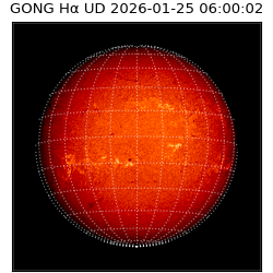 gong - 2026-01-25T06:00:02