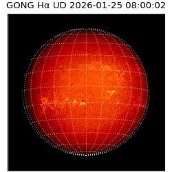 gong - 2026-01-25T08:00:02