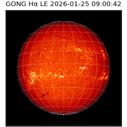 gong - 2026-01-25T09:00:42