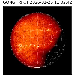 gong - 2026-01-25T11:02:42