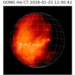 gong - 2026-01-25T12:00:42