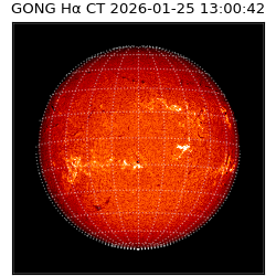 gong - 2026-01-25T13:00:42