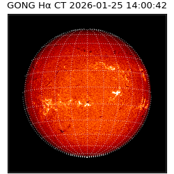 gong - 2026-01-25T14:00:42