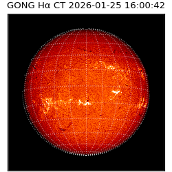 gong - 2026-01-25T16:00:42