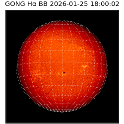 gong - 2026-01-25T18:00:02