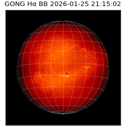 gong - 2026-01-25T21:15:02