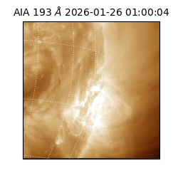 saia - 2026-01-26T01:00:04.843000