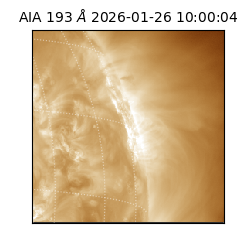 saia - 2026-01-26T10:00:04.844000