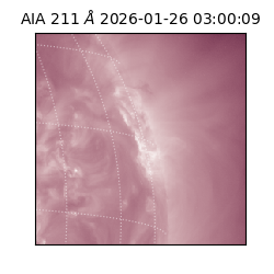 saia - 2026-01-26T03:00:09.626000