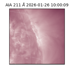 saia - 2026-01-26T10:00:09.640000