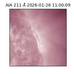 saia - 2026-01-26T11:00:09.622000