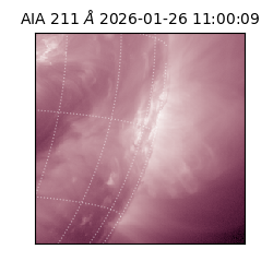 saia - 2026-01-26T11:00:09.622000