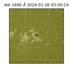 saia - 2026-01-26T03:00:14.133000