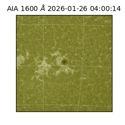 saia - 2026-01-26T04:00:14.132000