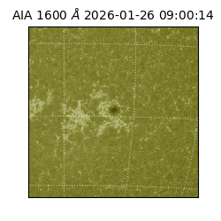 saia - 2026-01-26T09:00:14.132000