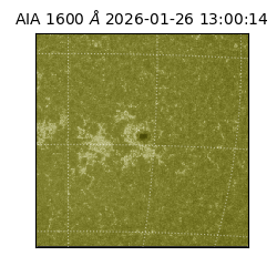 saia - 2026-01-26T13:00:14.125000