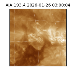 saia - 2026-01-26T03:00:04.843000