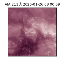 saia - 2026-01-26T08:00:09.626000