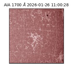 saia - 2026-01-26T11:00:28.717000