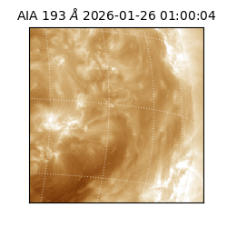 saia - 2026-01-26T01:00:04.843000