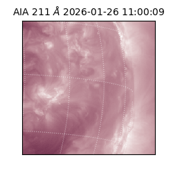 saia - 2026-01-26T11:00:09.622000