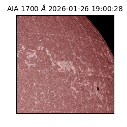 saia - 2026-01-26T19:00:28.717000