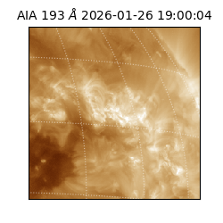 saia - 2026-01-26T19:00:04.843000