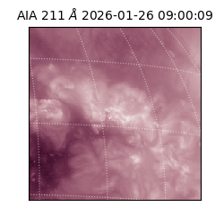 saia - 2026-01-26T09:00:09.622000