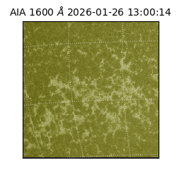 saia - 2026-01-26T13:00:14.125000