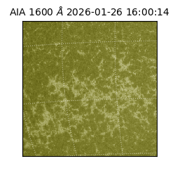 saia - 2026-01-26T16:00:14.126000