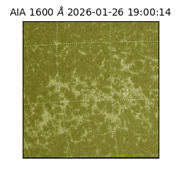 saia - 2026-01-26T19:00:14.126000