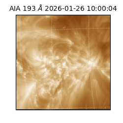 saia - 2026-01-26T10:00:04.844000