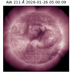saia - 2026-01-26T05:00:09.633000