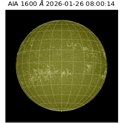 saia - 2026-01-26T08:00:14.125000