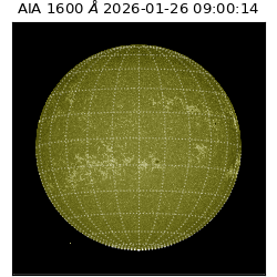 saia - 2026-01-26T09:00:14.132000