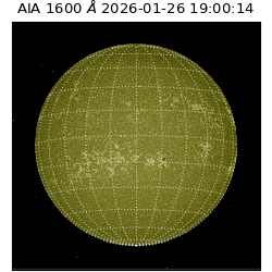 saia - 2026-01-26T19:00:14.126000