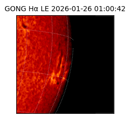 gong - 2026-01-26T01:00:42