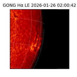 gong - 2026-01-26T02:00:42