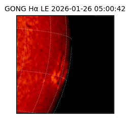 gong - 2026-01-26T05:00:42