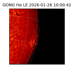 gong - 2026-01-26T10:00:42