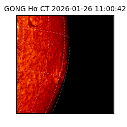 gong - 2026-01-26T11:00:42