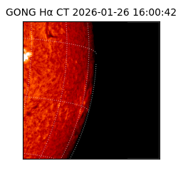 gong - 2026-01-26T16:00:42