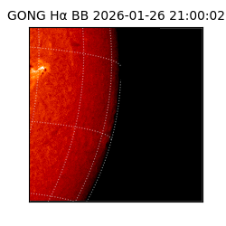 gong - 2026-01-26T21:00:02