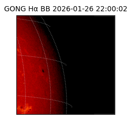 gong - 2026-01-26T22:00:02