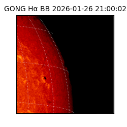 gong - 2026-01-26T21:00:02