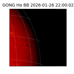 gong - 2026-01-26T22:00:02