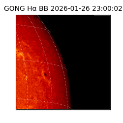 gong - 2026-01-26T23:00:02